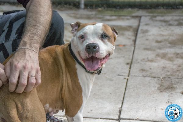 Molly, una casa per gli anni più preziosi Foto 2